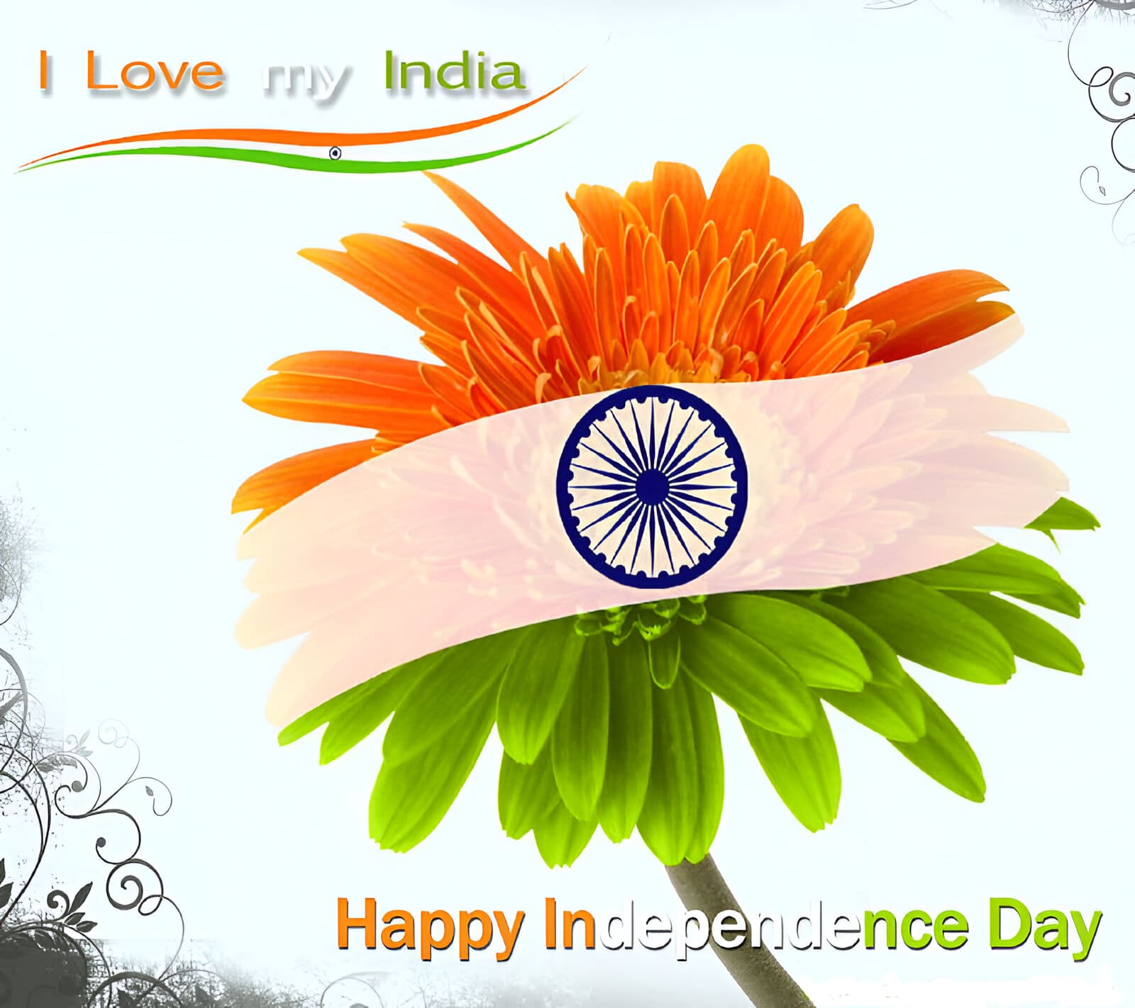 Free Happy Independence Day Images