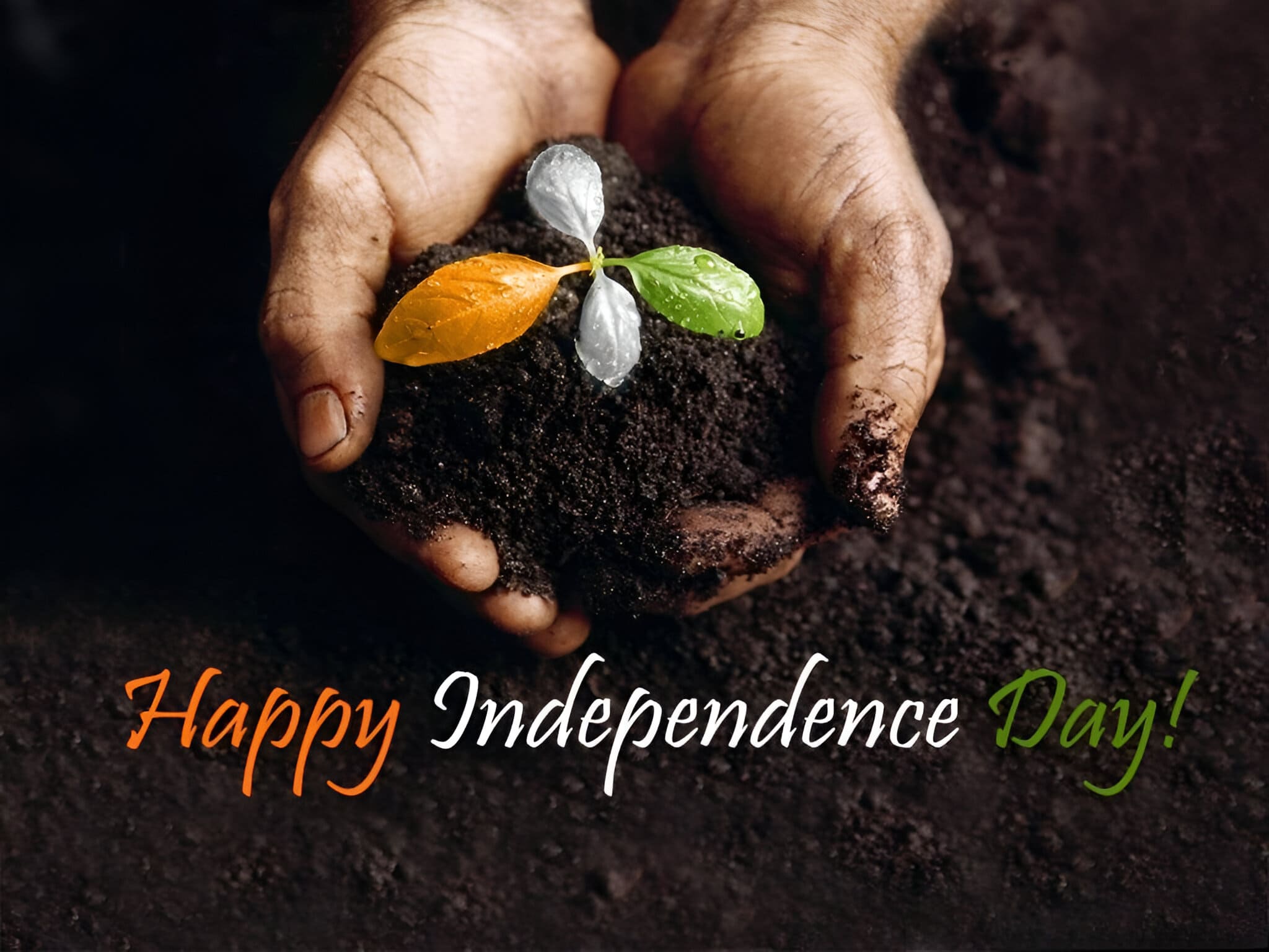 Happy Independence Day Jpg