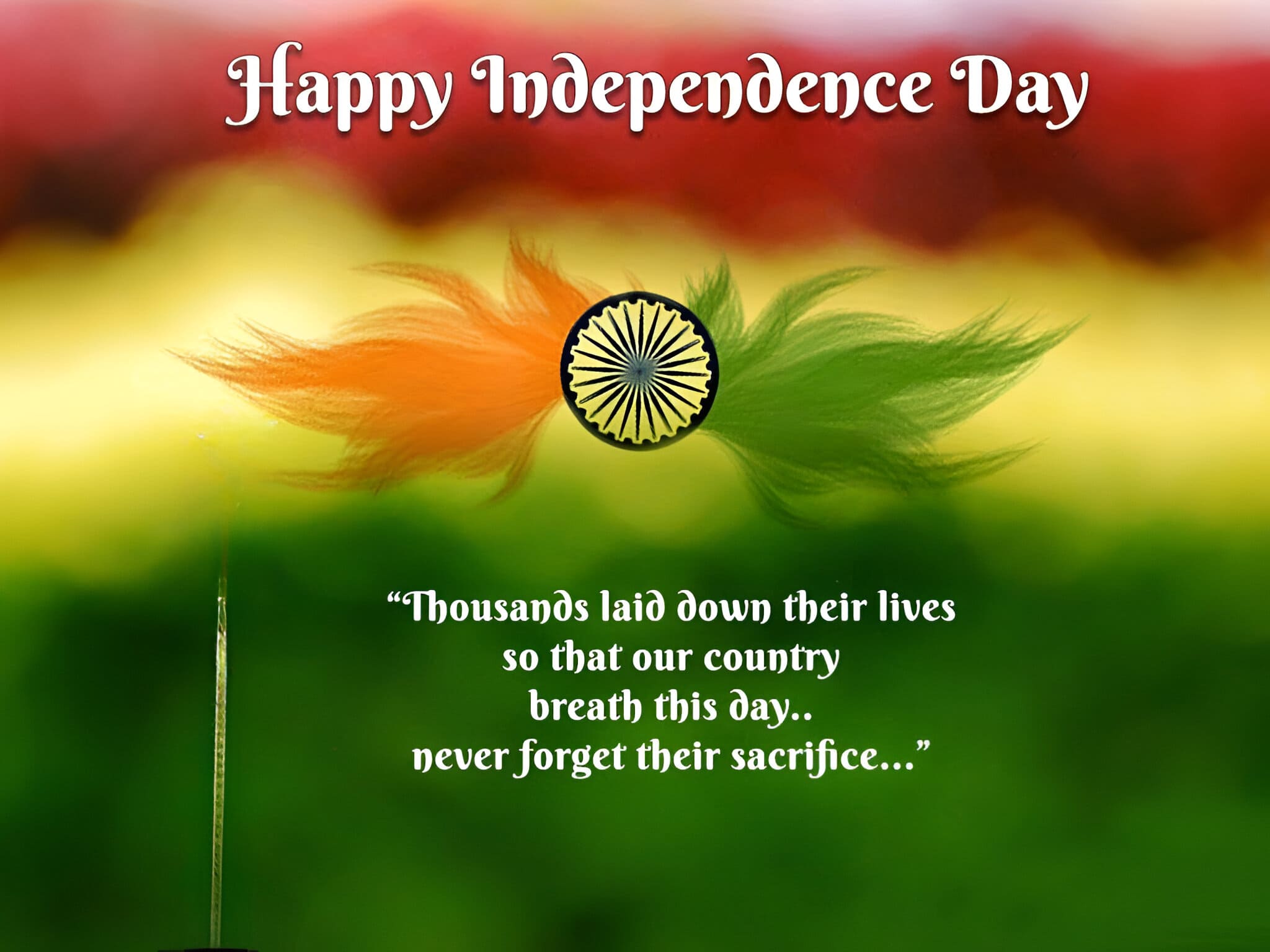 Happy Independence Day Ke Wallpaper