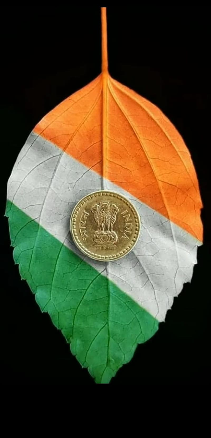 Indian Flag Colour Wallpaper