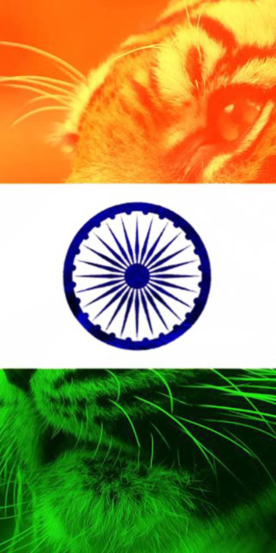 New Wallpaper Tiranga